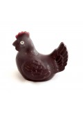 Petite poule