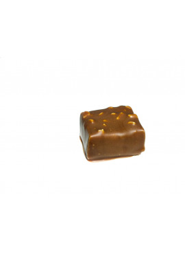 Rocher Chocolat au lait